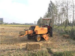 Agricultural Square Balers